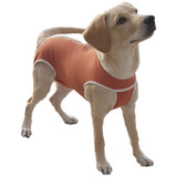 Body Cobre Post Operatorio Talla 5 Perros/gatos 7.5-10kgs