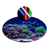 Kit Lâmpada 80cm Barra Tubo Led Iluminação Aquário Peixes