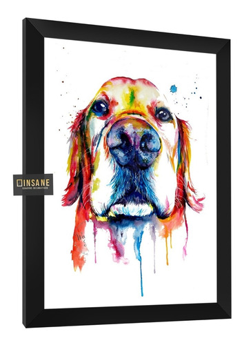 Quadro Cachorro Golden Retriever Pet Dog Decoração C/ Vidro