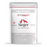 Alimento Sieger Recovery Dog & Cat Pouch X 100g X 12 Unidad