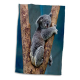 3d Rose Australia Koala Bear Toalla De Mano, 15 X 22