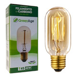 Lâmpada Filamento De Carbono T45 40w 110v E27 Retrô Vintage Decorativa Branco Quente - Green Age