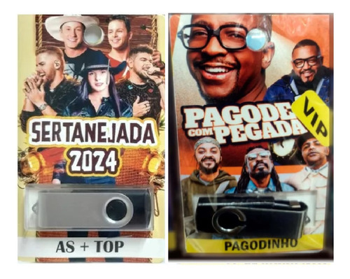 Kit 2 Pendrive De Música Gravada As Top Pagode + Sertanejo