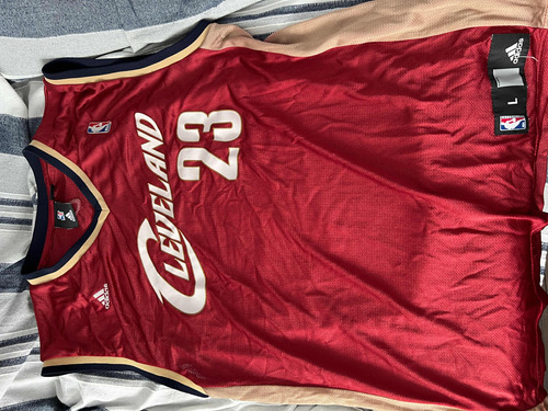 Camiseta Nba Lebron James