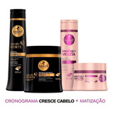 Haskell Shampoo Máscara Cavalo Forte 500ml + Kit Matizador