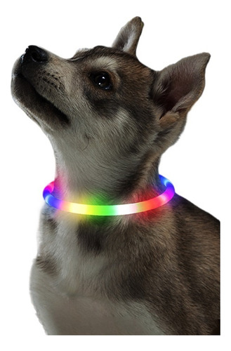 2pcs Collar Luminoso Led Antipérdida Para Perros Y Gatos