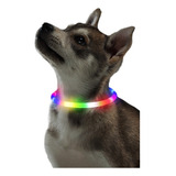 2pcs Collar Luminoso Led Antipérdida Para Perros Y Gatos