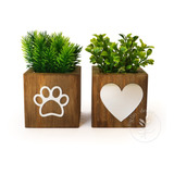Kit Vasinhos Com Planta Artificial Decoração Pet Cachorro