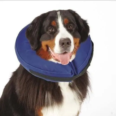 Collar Isabelino Inflable Perros Extra Grande   | Envío gratis