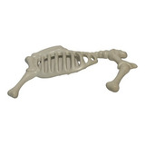 Playmobil Esqueleto De Animales Huesos Animal Arqueologo