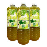 3 Jugo De Maguey Original Clorofila 1l Verde Santo Michoacán