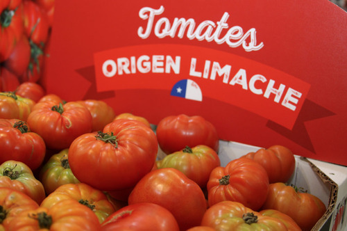 1000 Semillas De Tomate  Limachino Producción Local Orgánica