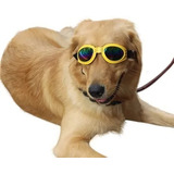 Gafas Lentes Deportivas Para Perro Grande Y Mediano