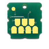 Chip Caja De Mantenimiento Epson M1180
