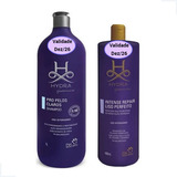 Kit Shampoo Pelos Claros 1l E Mascara Liso Perfeito 480ml 