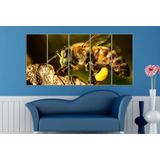 Cuadro 50x100cm Abeja Flores Miel Panal M1