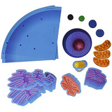Learning Resources Giant Magnetic Animal Cell, Classroom Sup