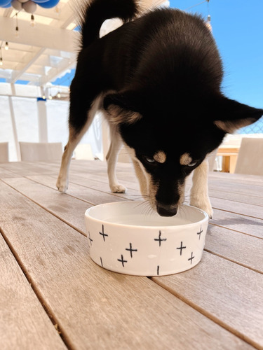 Plato Cross En Cerámica Para Perros Con Base En Madera