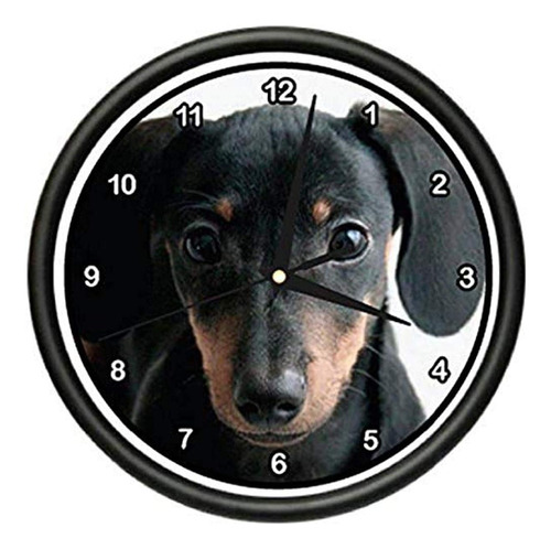 Signmission Beagle Dachshund Reloj De Pared Perros De Compañ