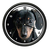 Signmission Beagle Dachshund Reloj De Pared Perros De Compañ
