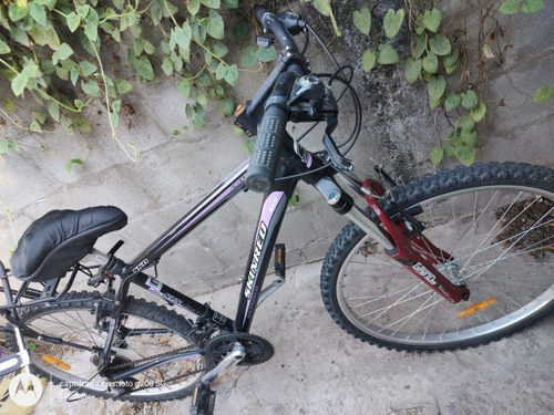 Bicicleta Mountain Bike Skinred