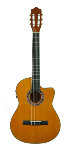 Guitarra Electroacústica Deviser L320-kl, Profesional, Funda