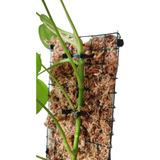 Pack Abrazadera Para Plantas Tallos Delgados X 10 Unidades