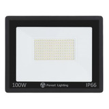 Reflector Led Slim 100w Exterior Proyector Forest Lighting