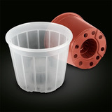 100 Vasos Plastico Transparente Cone Orquideas Pote 15