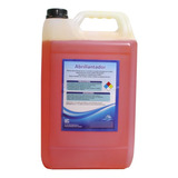 Alberca Limpia Abrillantador  5l Pool Cleaner