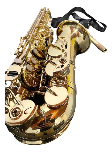 Sax Alto Dolphin Profissional ((1590 Com Desconto))