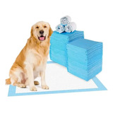 50 Tapete Entrenador Para Perro Gato 60x45 Cm Mascotas