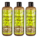 Kit 3 Shampoo Argan Hidrata Y Repara Vegano Sin Sal 950ml