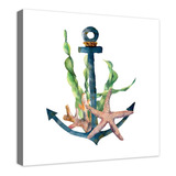 Cuadro Decorativo Canvas Ancla Y Estrella De Mar Acuarela