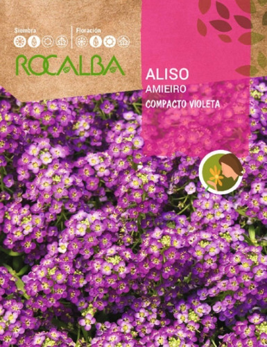 Sobre De Semilla Aliso Compacto Violeta 2 Grs.