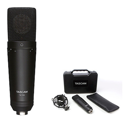 Condenser Tm 180 Tascam Con Soporte Shock Y Estuche