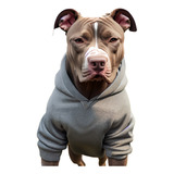 Roupa Cachorro Moletom Cães Blusa Inverno Pitbull