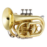 Minitrompeta Bb Plana De Bolsillo Ammoon, N.° 2