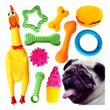 Kit 10 Brinquedos Mordedores Pet Cachorro Pequeno Com Frango