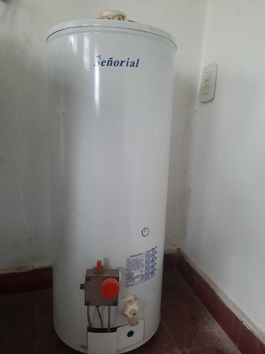 Termotanque 50 Lts Señorial