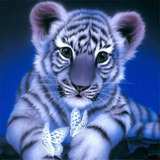Kit De Pintura Con Diamantes 5d Tigre Y Mariposas 30x30 Cm
