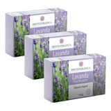 Sabonete Vegetal De Lavanda E Rosa Mosqueta 100g Kit Com 3