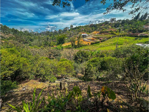 Vendo Finca En Ríonegro 4.150 Metros Ch - Imagen 4
