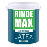 Latex Interior Antihongo Rinde Max X20 Pintu Don Luis Mdp
