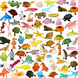 Set Mini Animales Marinos, 78 Piezas Plastico, Niños, Regalo