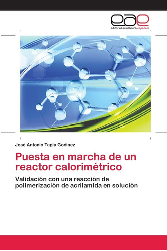 Libro: Puesta En Marcha De Un Reactor Calorimétrico: Validac