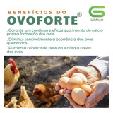 Ovoforte Suplemento Mineral Para Aves 1 Kg