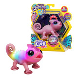 Toy Little Live Pets Lil' Chameleon S2 Single Pk Nova