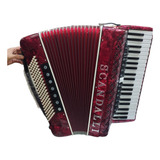 Acordeon/sanfona 120 Baixos Em Quarta De Voz + Alças+estojo