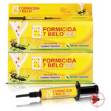 Kit Com 2 Veneno Mata Formiga Caseiras Formicida Gel 10g